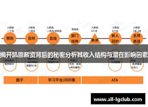 揭开凯恩薪资背后的秘密分析其收入结构与潜在影响因素
