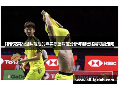 陶菲克突然退队背后的真实原因深度分析与羽坛格局可能走向